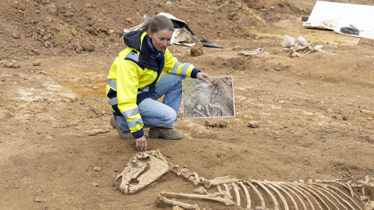 roemerzeitlicher-pferdefriedhof-4